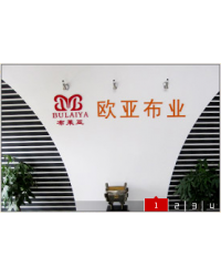 Tongxiang Ouya Textile Co., Ltd.